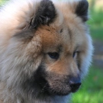 Программы лояльности казино без депозита - схема работы бонусов